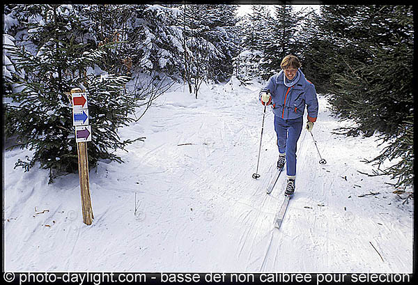 sport - ski de fond